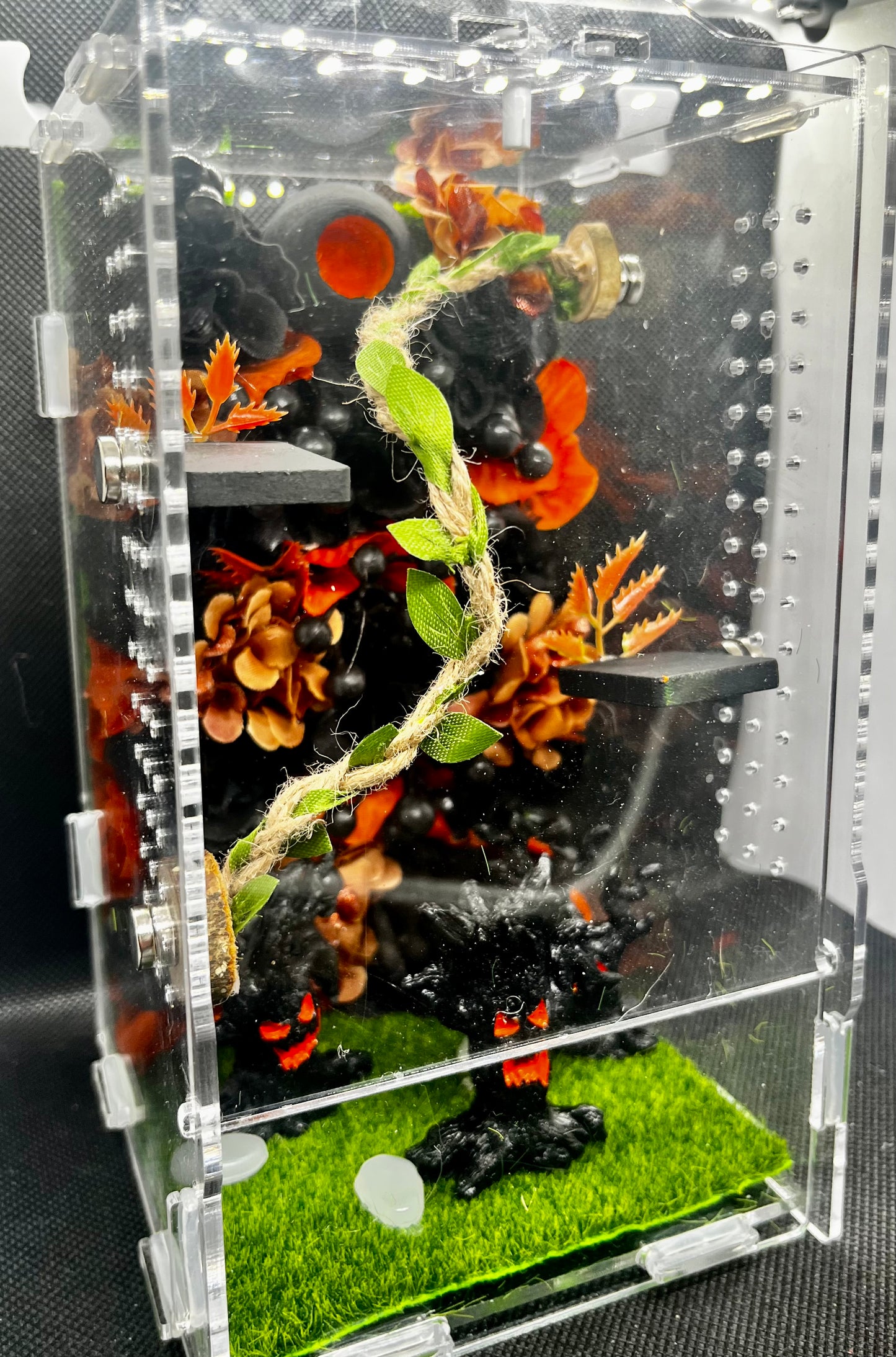 Large Haunted Forest Enclosure