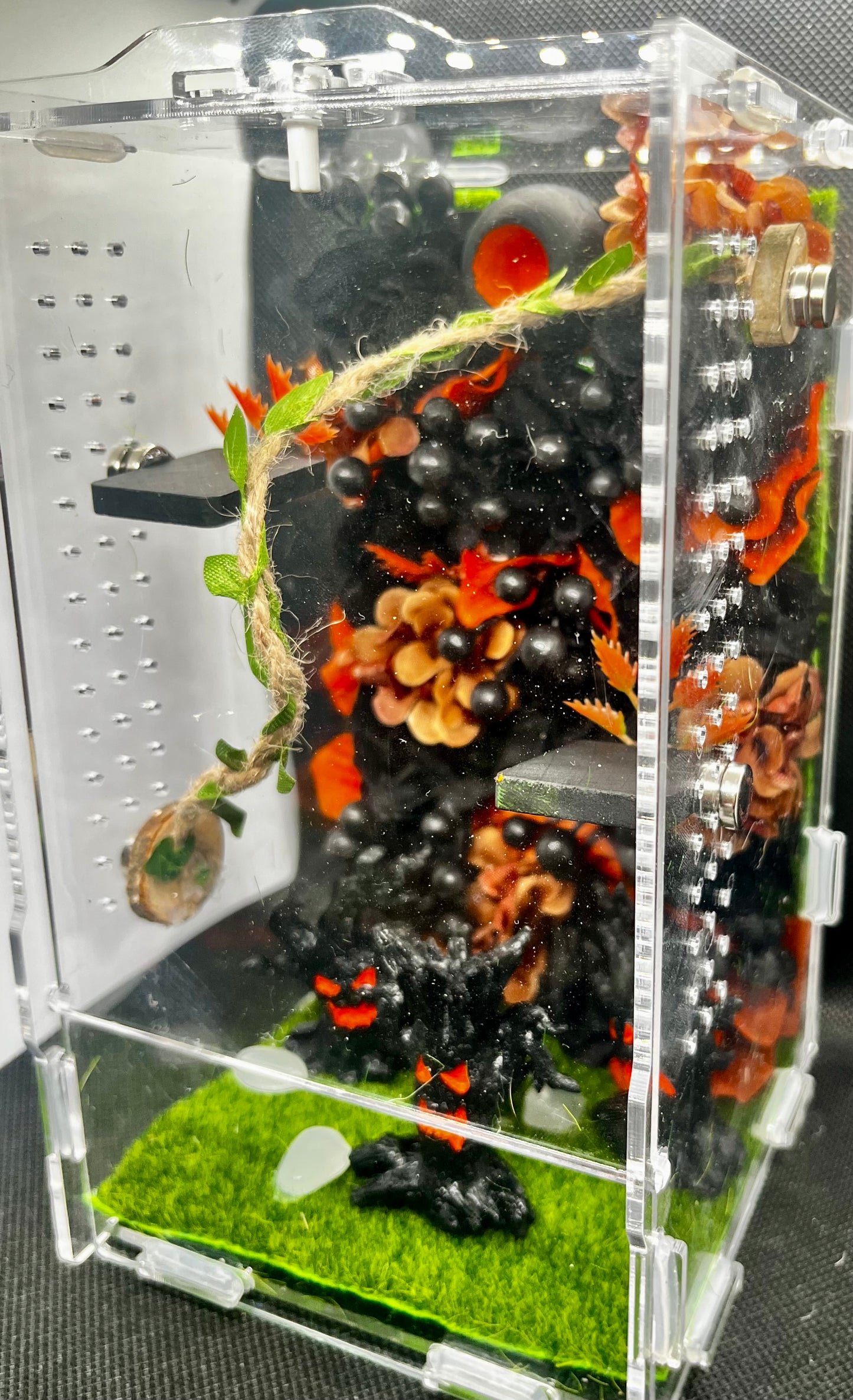 Large Haunted Forest Enclosure