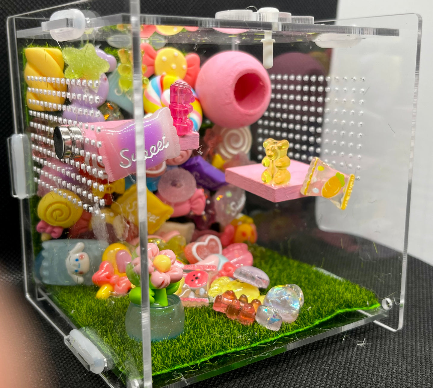 Sugar Rush Enclosure