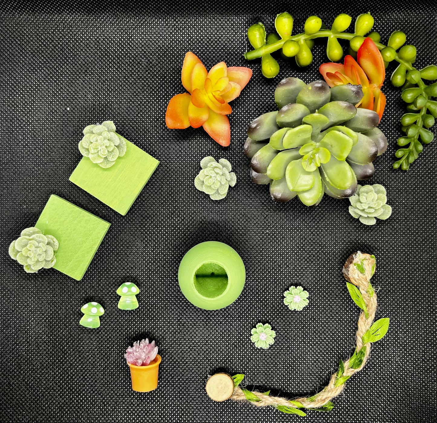 Succulent DIY Set