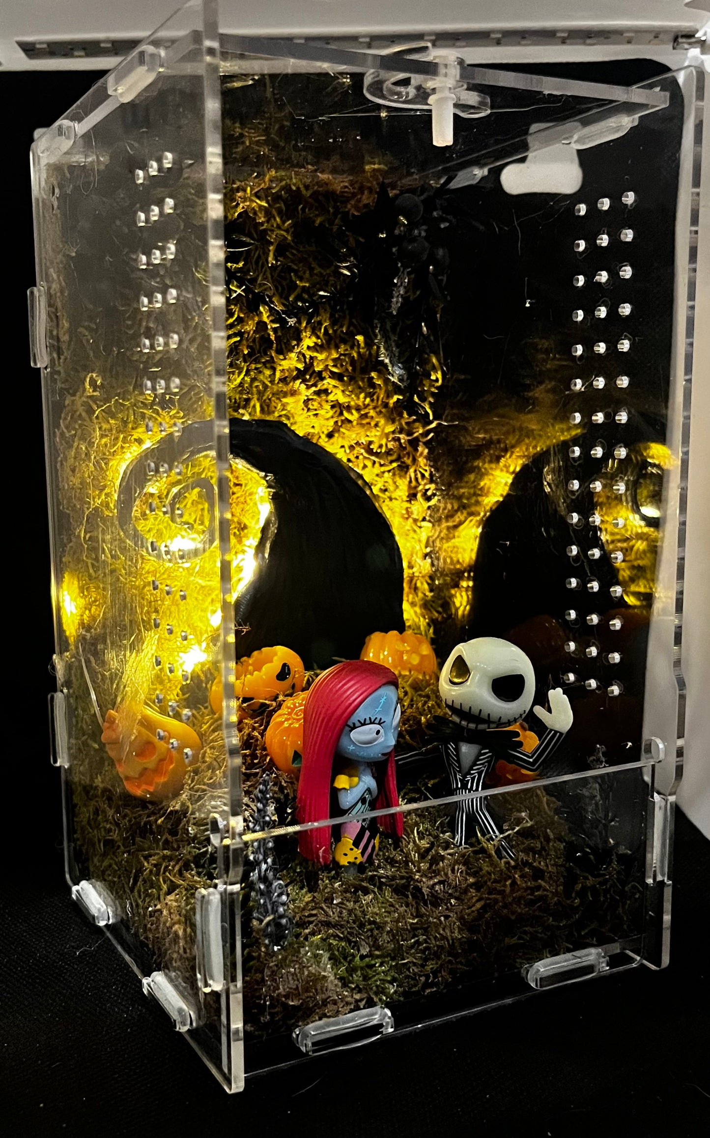Lovebirds Enclosure