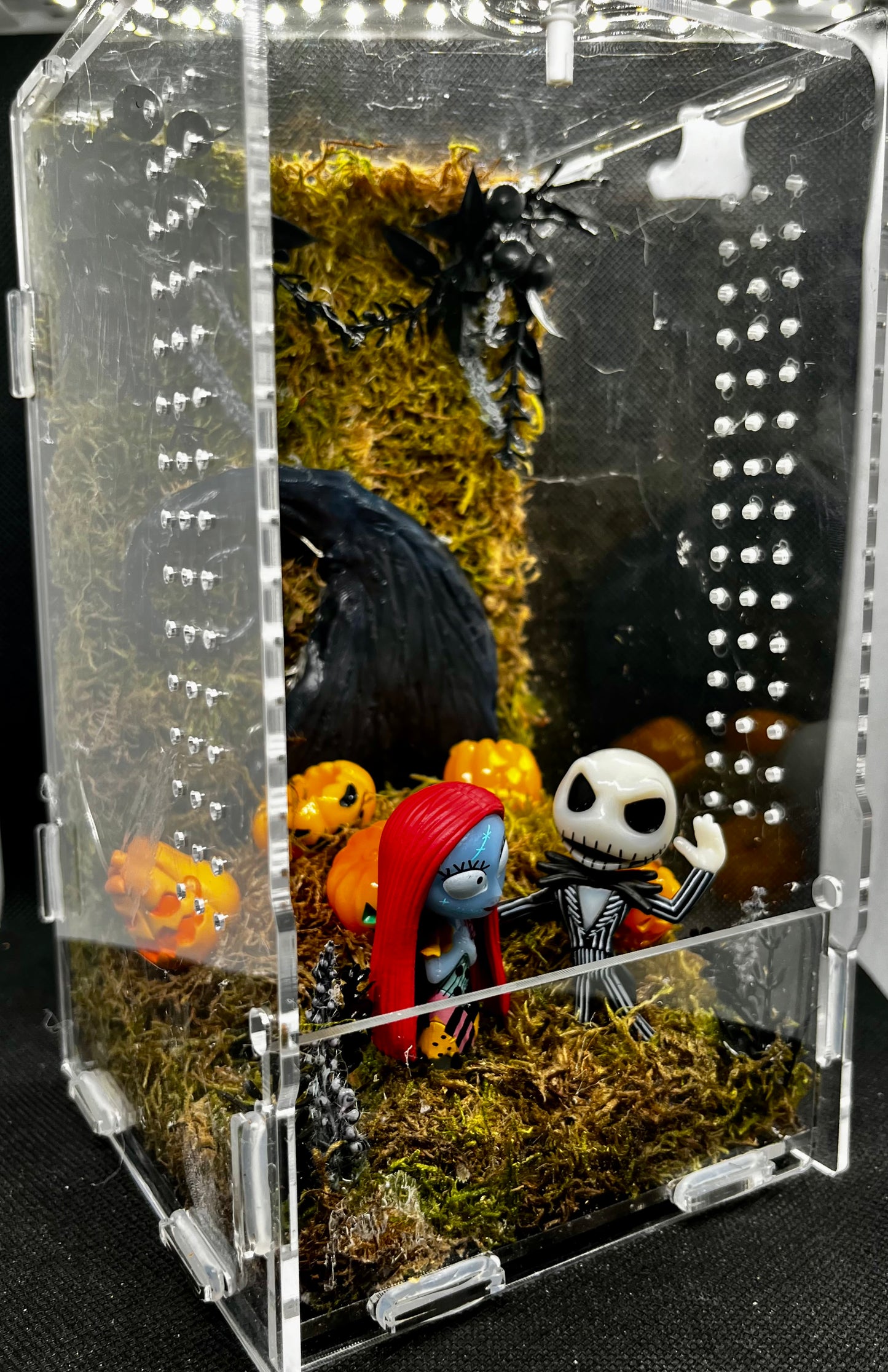 Lovebirds Enclosure