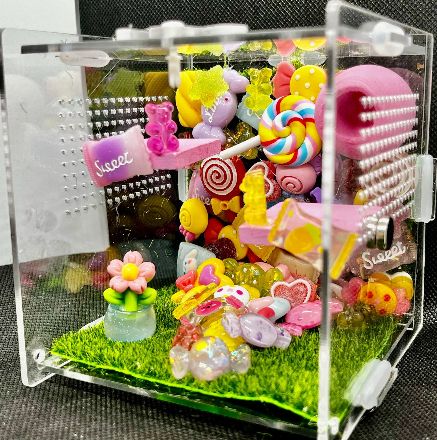 Sugar Rush Enclosure