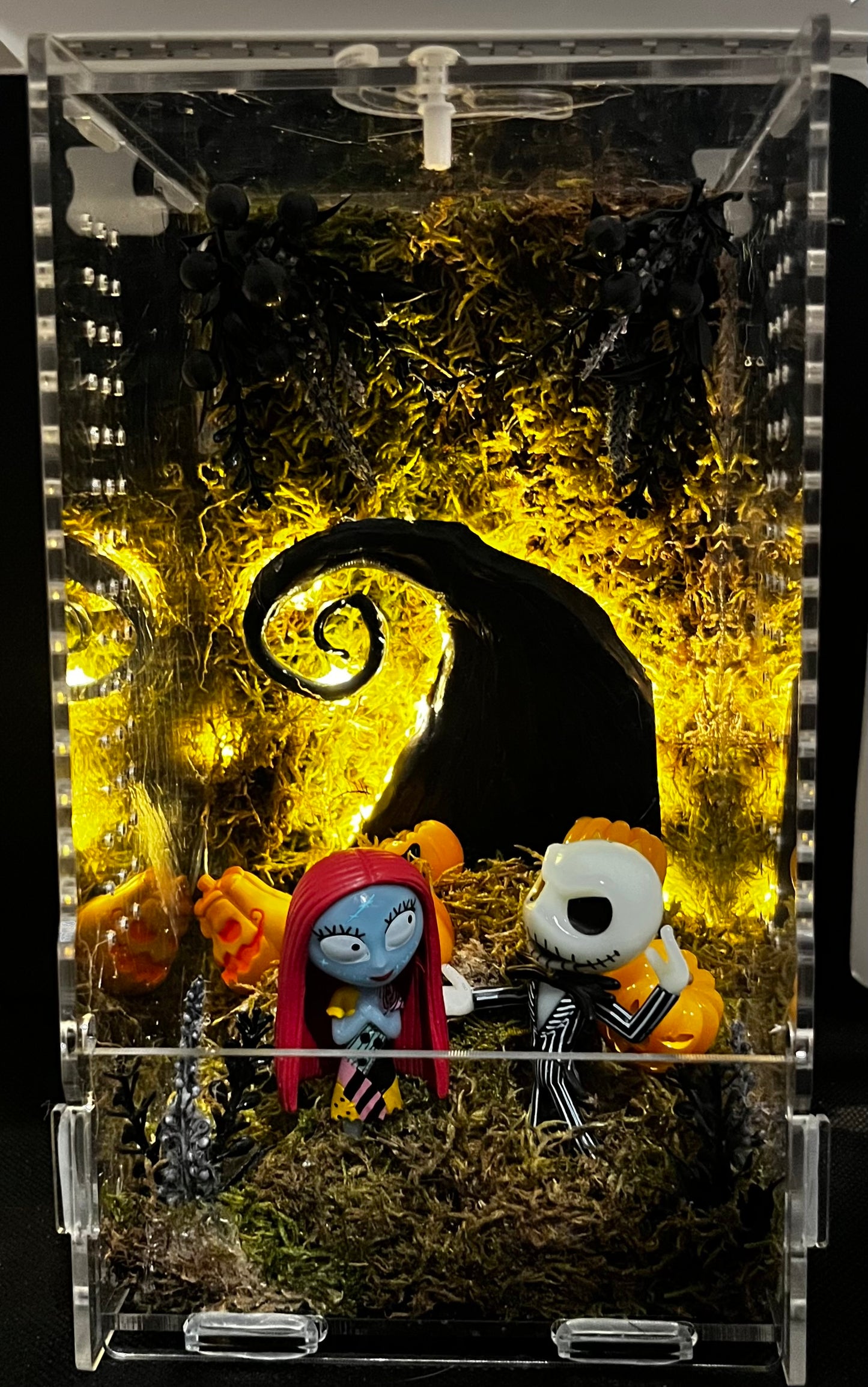 Lovebirds Enclosure