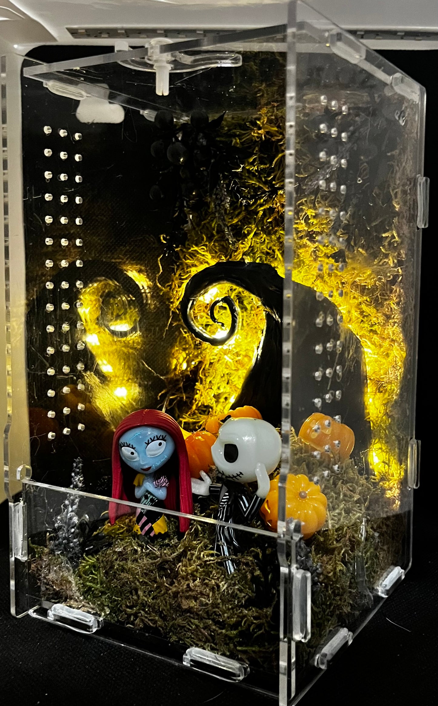 Lovebirds Enclosure