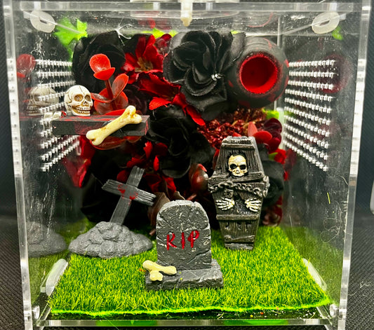 Graveyard Enclosure