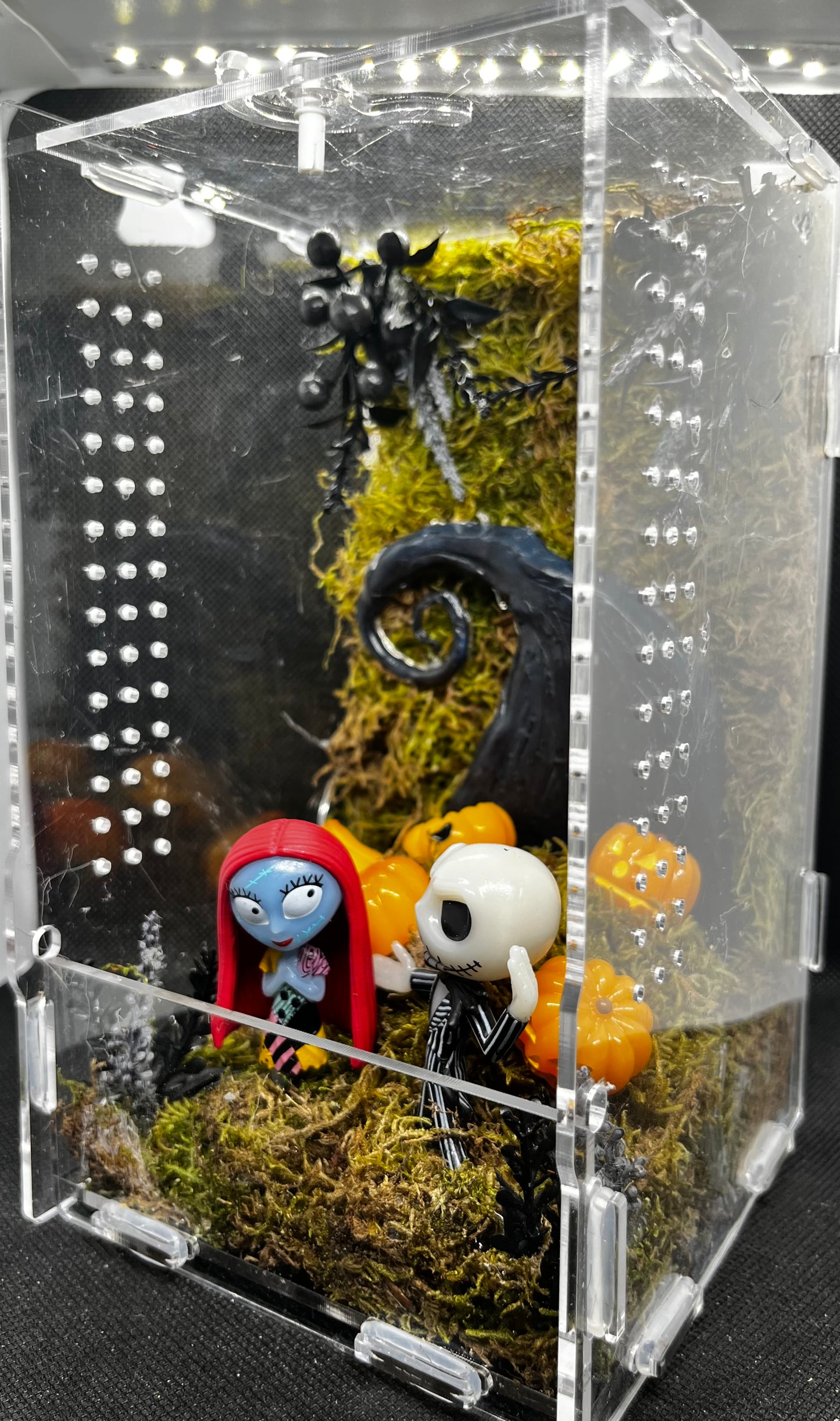 Lovebirds Enclosure